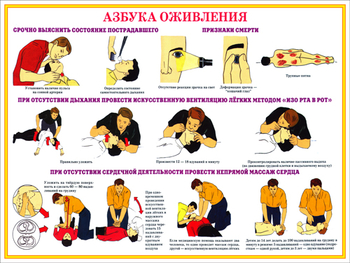 ПВ05 Первая помощь при чрезвычайных ситуациях (пластик, А3, 9 листов) - Плакаты - Медицинская помощь - Магазин охраны труда ohranatruda-shop.ru
